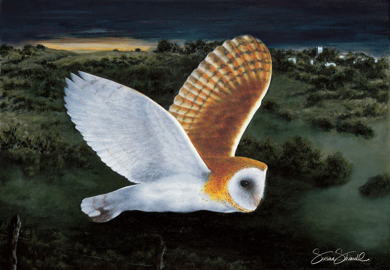 Barn owl in moonlight - oil on canvas