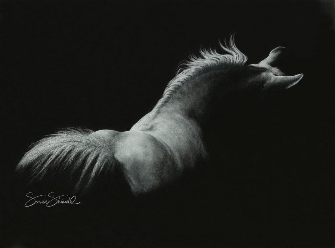 Mixed media: pastel, charcoal portrait of white horse.