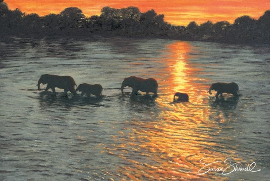 Elephants crossing the river - oil on canvas