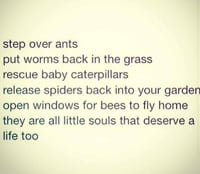 Step over ants and care for all wildlife