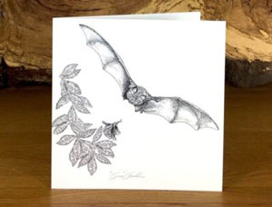 Greater Horseshoe Bat greetings card. Artwork by Susan Shimeld